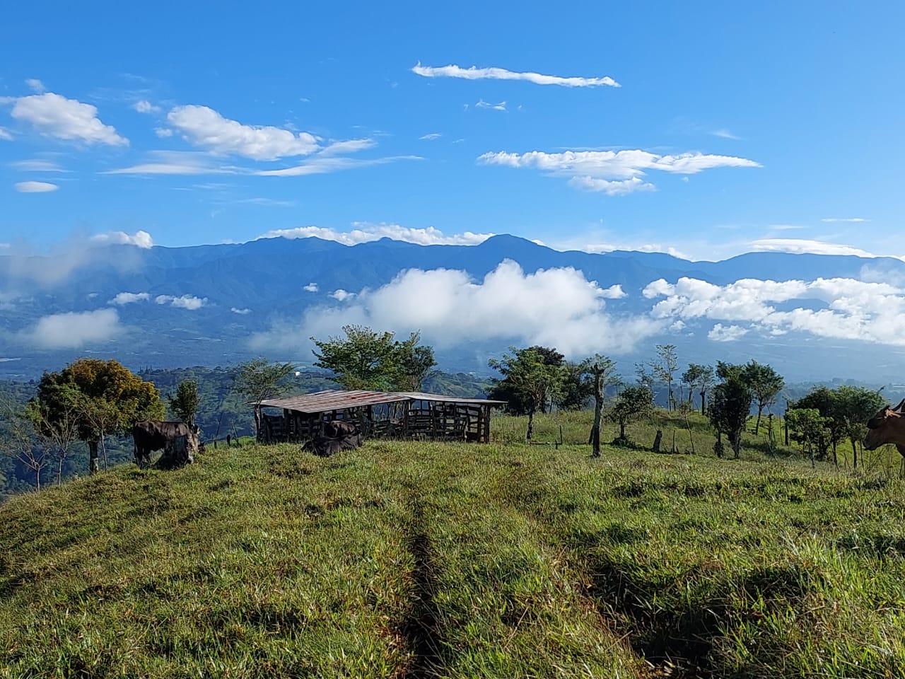 Lee más sobre el artículo SAN AGUSTÍN DE PÉREZ ZELEDÓN – WHERE NATURE, ALTITUDE & PURPOSE ALIGN