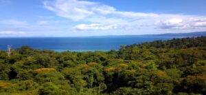 Lee más sobre el artículo Osa Peninsula Ocean View & Beachfront Rincón de Osa Property