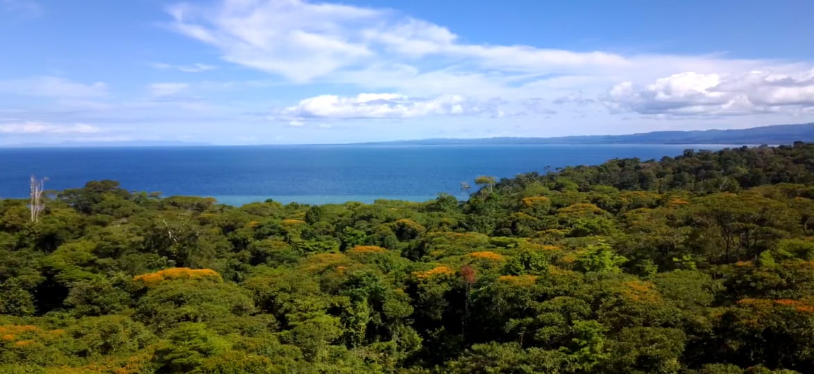Lee más sobre el artículo Osa Peninsula Ocean View & Beachfront Rincón de Osa Property